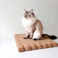 Cute Cat Bed ""Cookies"", Mattress For Dog & Cat, Cat Furniture, Window | Etsy (US)