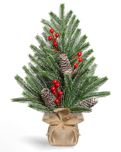 STRPRETTY BASIC Tabletop Christmas Tree 19 Inch Artificial Mini Christmas Tree Non-Lit Snowy Small Christmas Tree with Pine Cones Red Berries for Christmas Holiday Mantle Table Top Home Indoor Decor | Amazon (US)