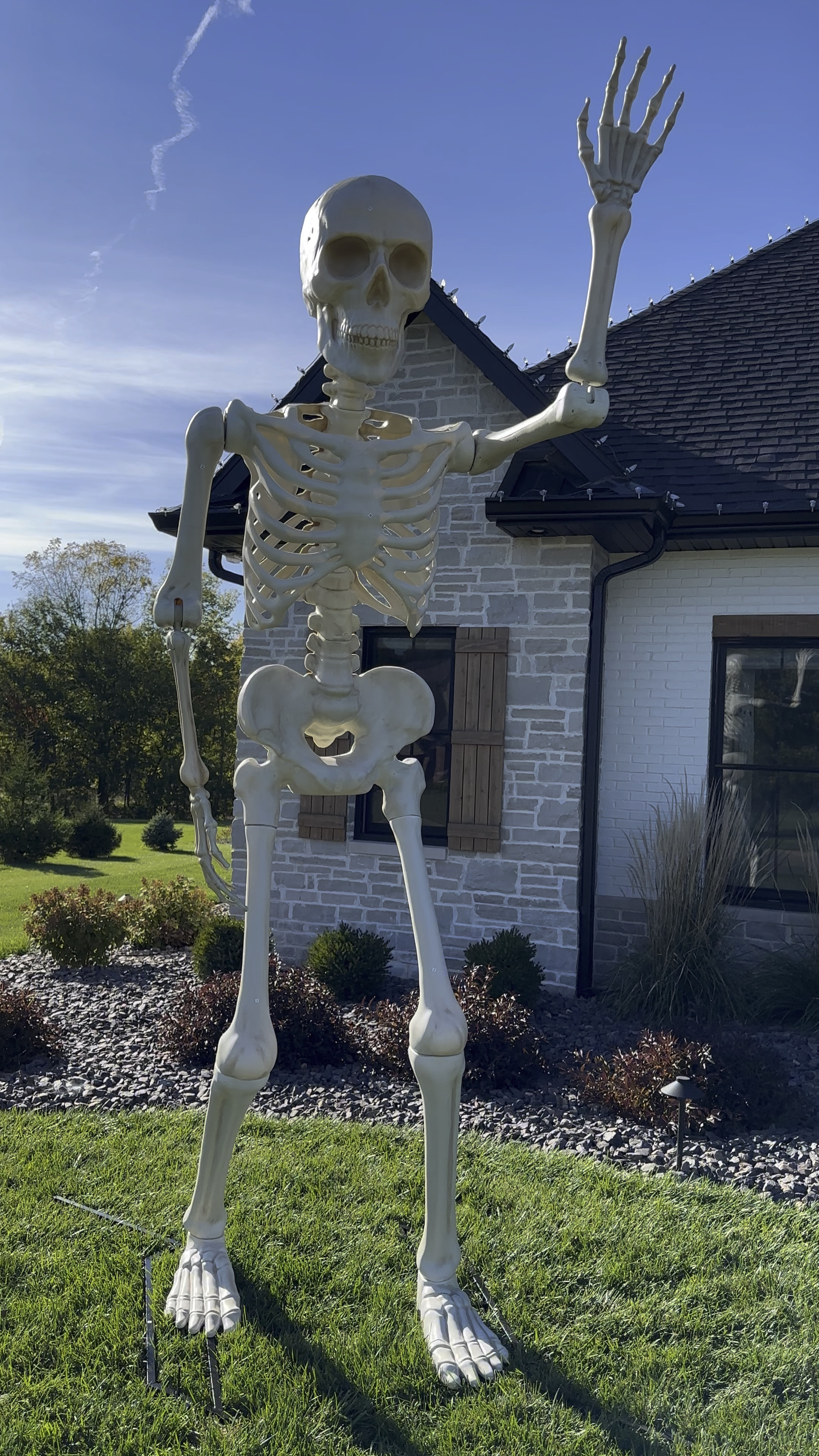 10 ft skeleton 

#LTKSeasonal #LTKHolidaySale #LTKHoliday