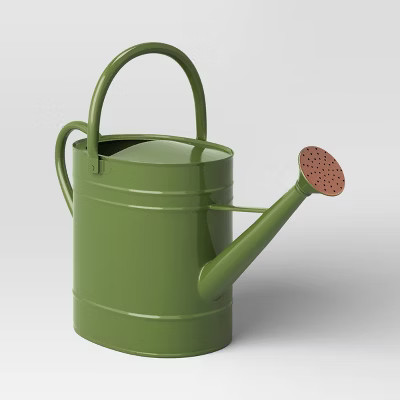 2gal Galvanized Sheet in Powder Coated Finish Steel Watering Can Green - Threshold™ | Target