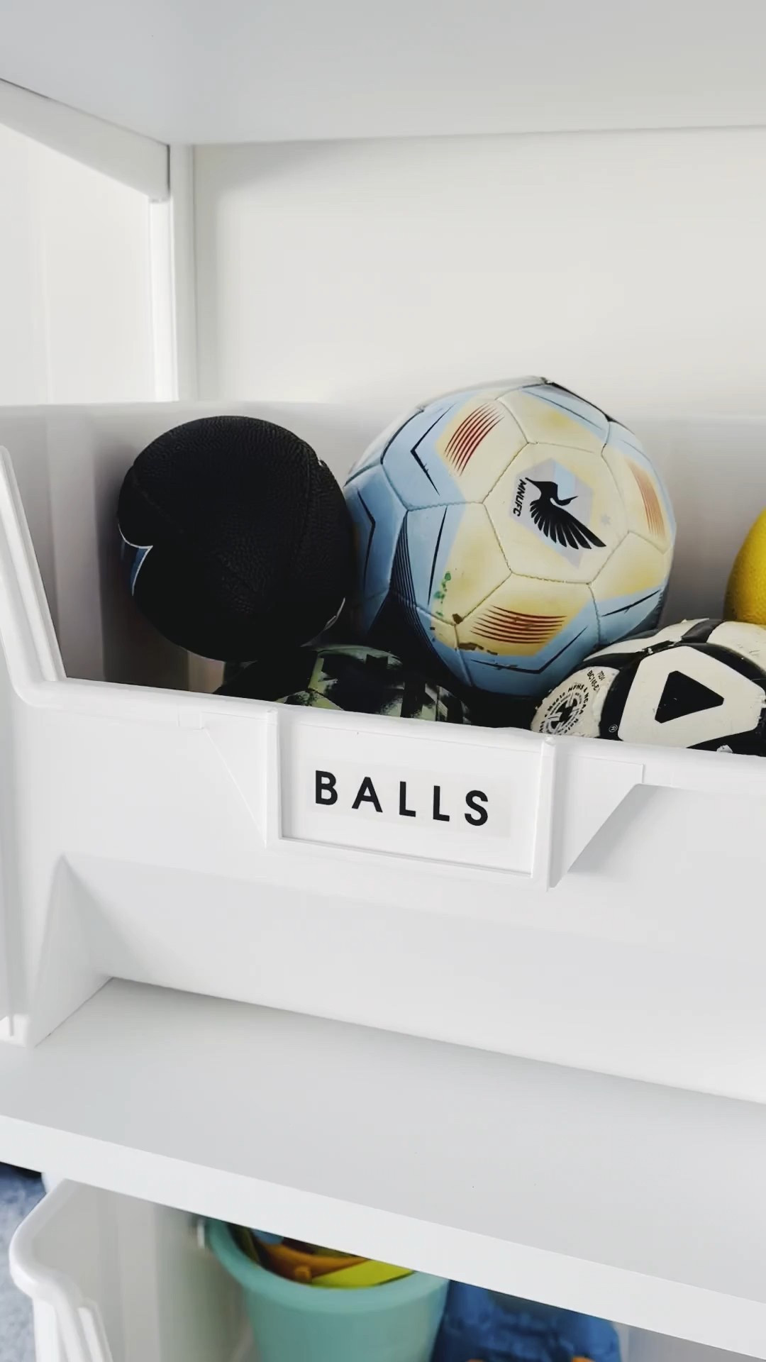 Garage organization

#LTKSeasonal #LTKHome #LTKHoliday