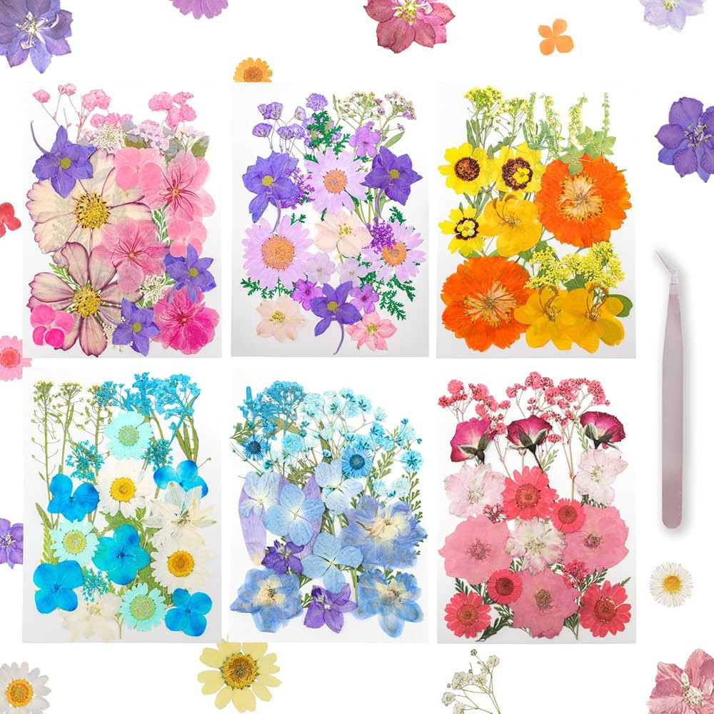 Dried Pressed Flowers Real Pressed Flowers Natural Dry Leaves Bulk Mixed Colorful Herbs Kit with ... | Amazon (US)