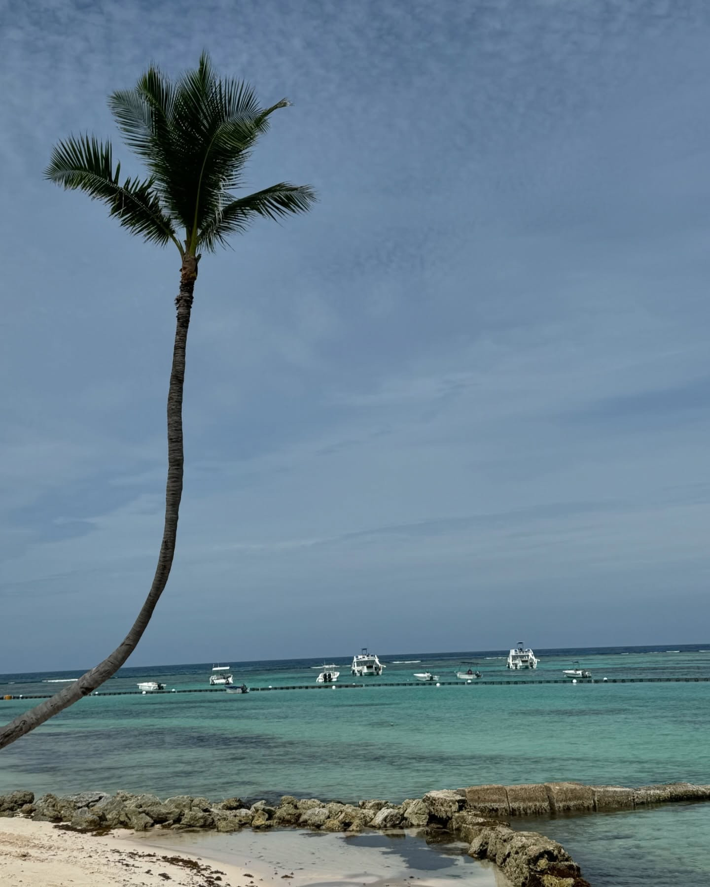 sigo encantada com esse conjunto 🦓

#LTKbrasil #LTKmodapraia #LTKbeleza