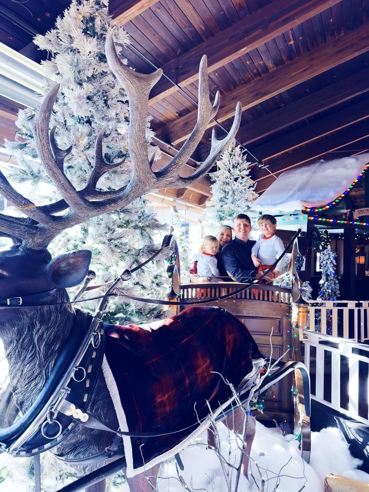 Nothing is more magical than our annual trip to the @omnigrovepark at Christmas time 🎄🌟 - another one of our very favorite traditions of all!! 🎅🏻🦌🎁 Getting to “ride” 😉 on Santa’s sleigh 🛷, drink hot chocolate ☕️🍫 in rocking chairs 🪑 by the crackling fireplace 🔥, admire all of the beautiful gingerbread 🍪 houses 🏡 and Christmas decorations 🕯️❄️, take in the gorgeous mountain 🏔️ views 🌲, and just make the most magical 🪄 holiday season memories with our little ones!! 🤱❤️👶🏼💚 #omnigroveparkinn #groveparkchristmas #omnigrovepark #tistheseason #groveparkgingerbreadhouses #magicalmemories #themostwonderfultimeoftheyear #christmastraditions #holidaytraditions #merrymerry #hotcocoabythefire #groveparktradition #groveparkinnatchristmastime 

| Motherhood | Stay at Home Mom | Joyful Motherhood | Faith | Baby and Toddler Days | Boy Mama x 2 | SAHM | These are the Days | Full Hands Fuller Hearts | December Memories | Holiday Season with Littles | Christmas with Littles | Christmas Traditions | The Most Wonderful Time of the Year | Christmas Season | Christmas Fun | Grove Park Christmas | Grove Park Gingerbread Houses 
 
…

#emilysayswes #judsoncarpentermabry #levirhettmabry #familyoffour #mommyblogger #stayathomemommy #boymamax2 #mommyblogger #sahm #thesearethedays #decembermemories #christmastime #LTKChristmas #LTKHoliday #LTKfamily #LTKBaby #LTKToddler @shop.ltk

#LTKmomlife #LTKHoliday #LTKBaby