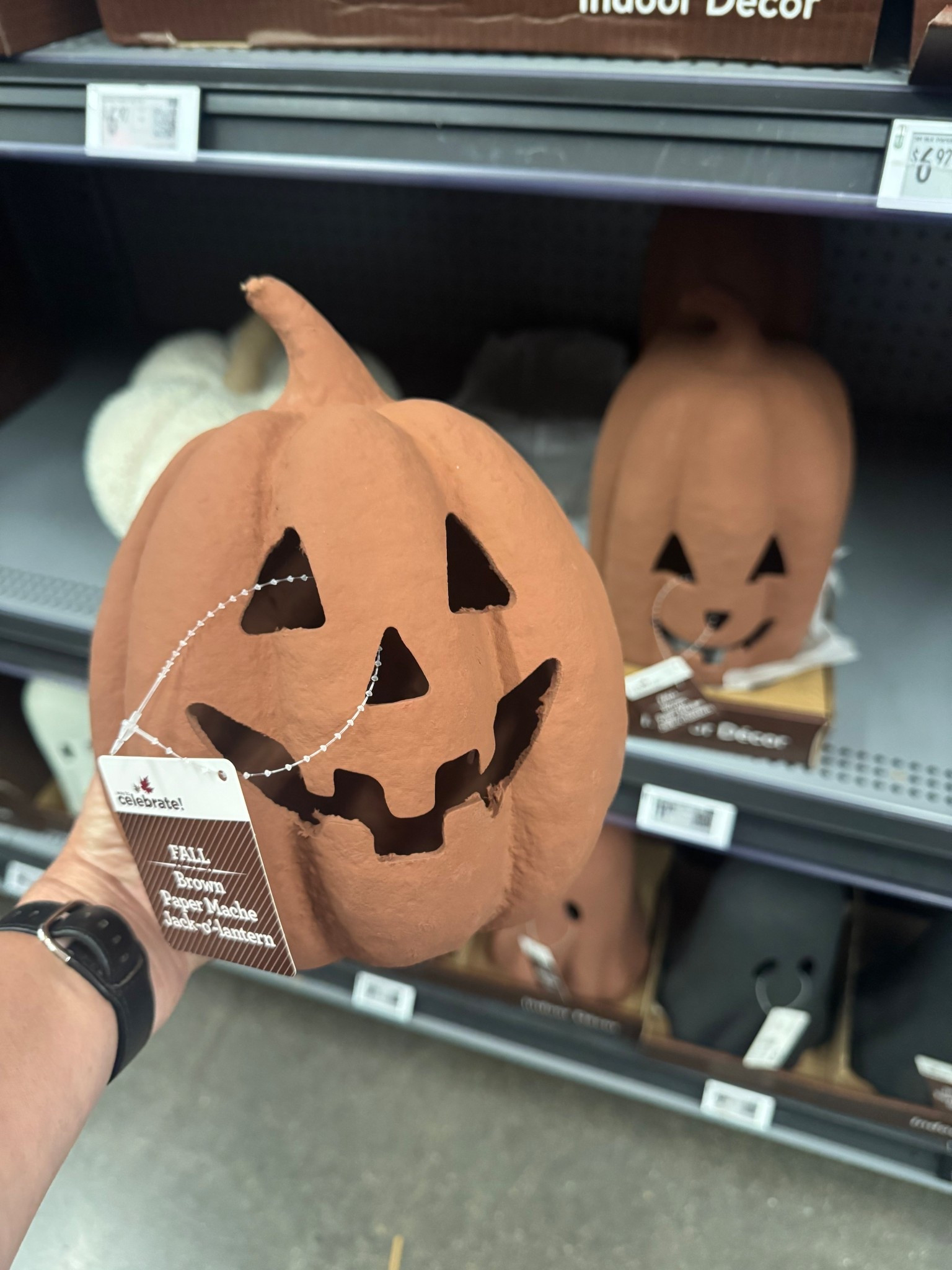 These paper machete pumpkins from Walmart are the cutest 🎃 

Viral pumpkin