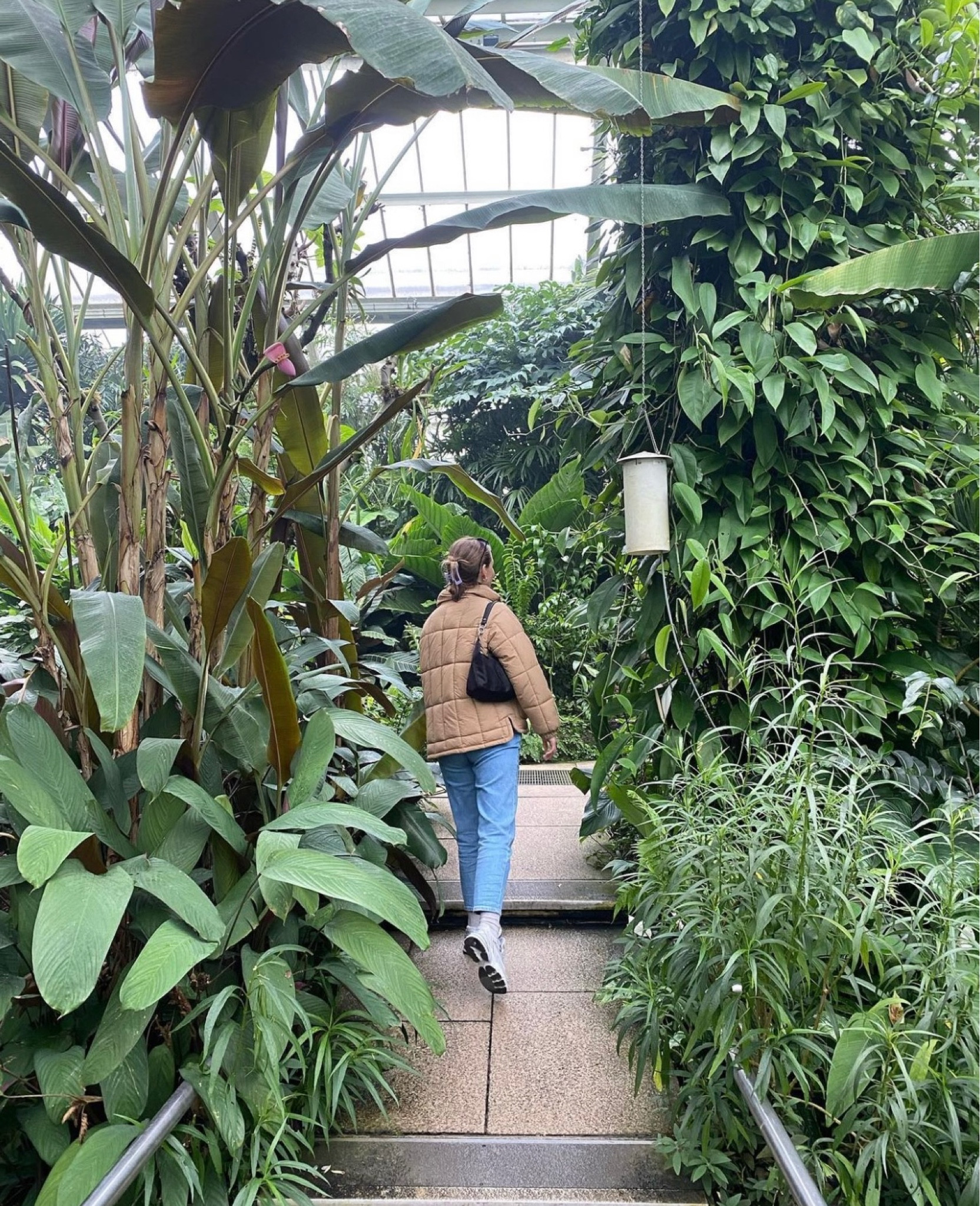 Daily outfit 🍃

#LTKfit #LTKSeasonal