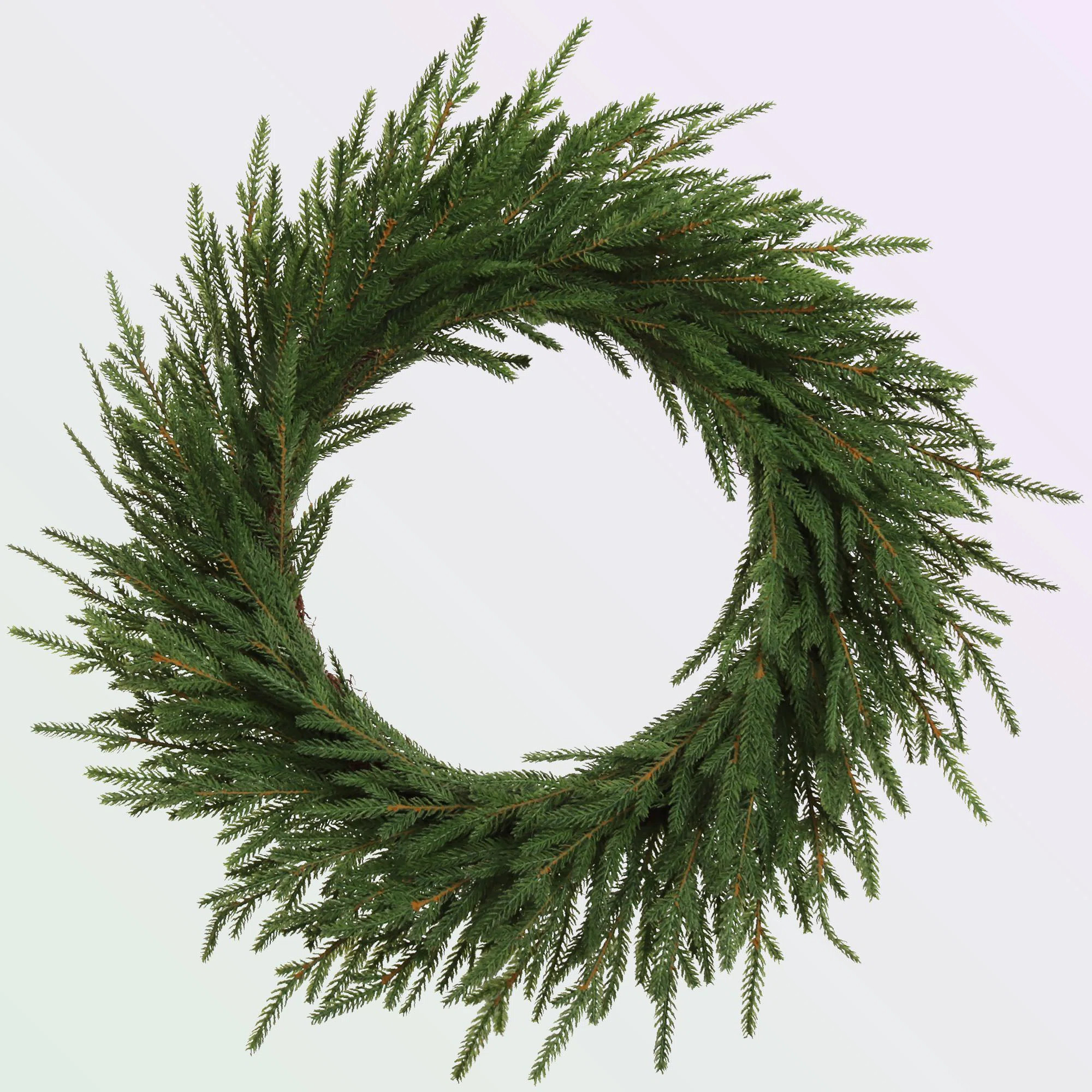 24" Real Touch Frasier Wreath | Lifelike Greenery | Indoor/outdoor Use | Christmas & Holiday Déc... | Wayfair North America
