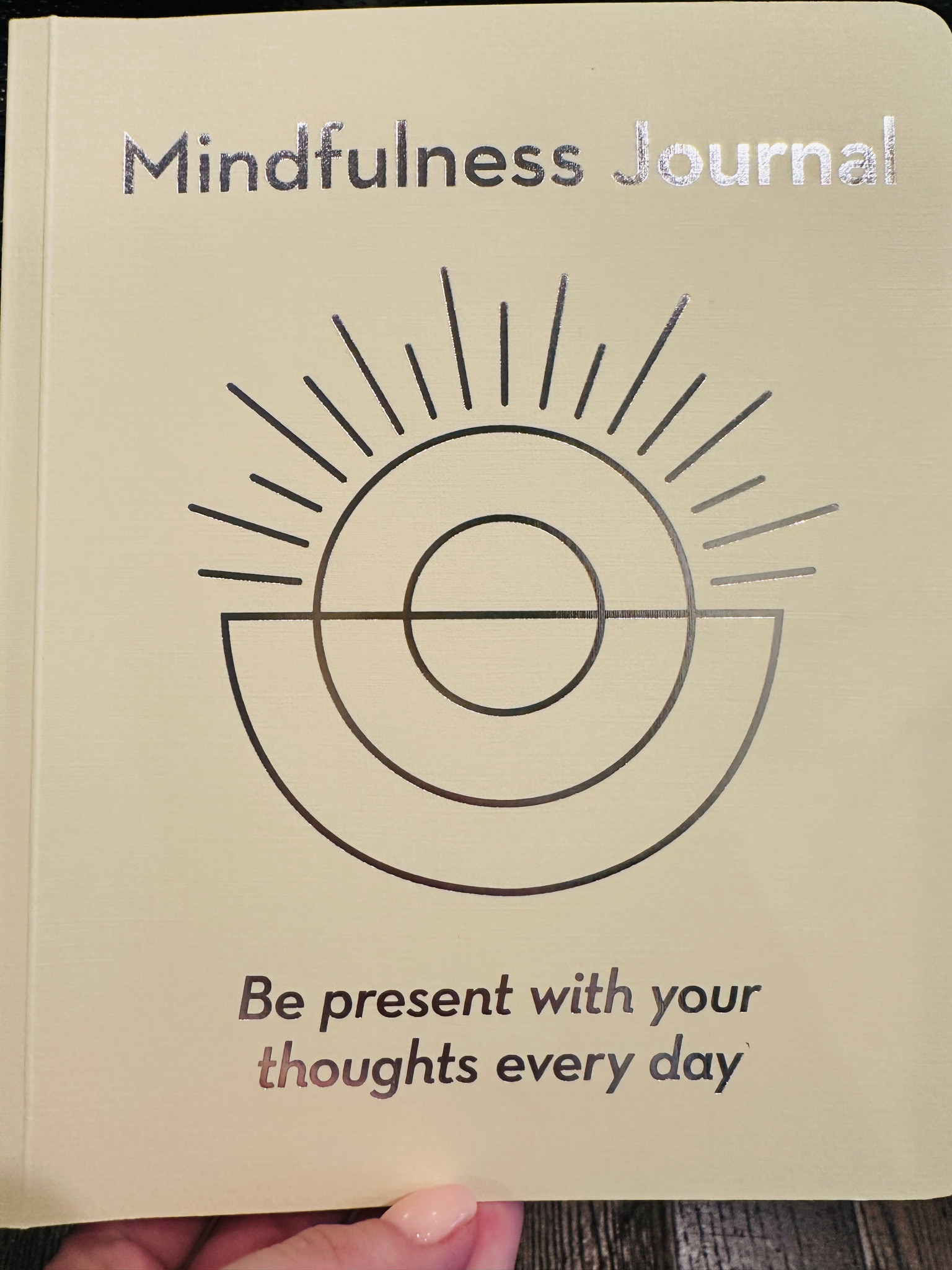 Mindfulness journal for morning and evening, it has daily intentions, affirmations, and focus areas for 2x a day, 2024, resolution, ins, Jaclin Natale 


#LTKGiftGuide #LTKfitness #LTKhome