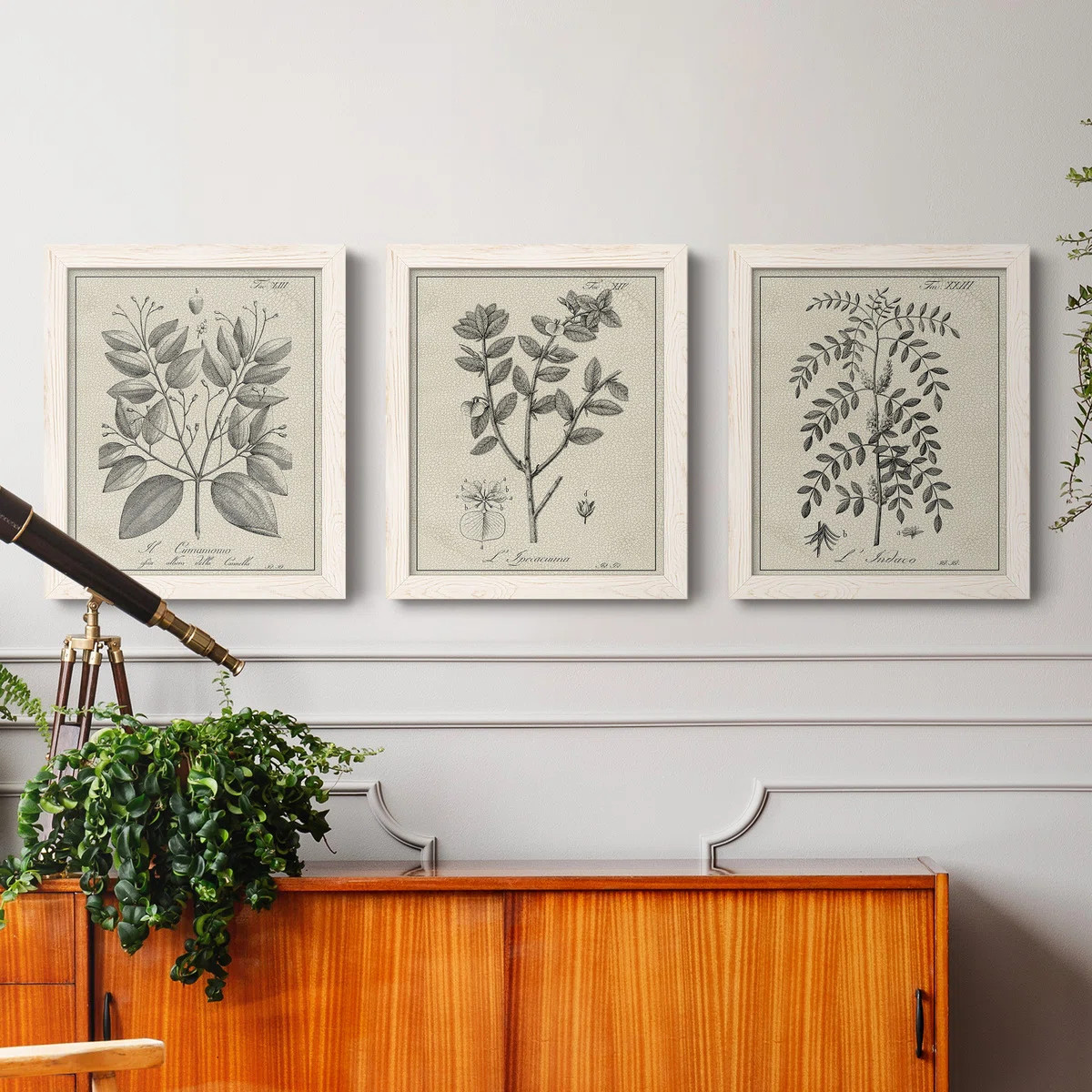 " Antique Black And White Botanical VII " 3 - Pieces | Wayfair North America