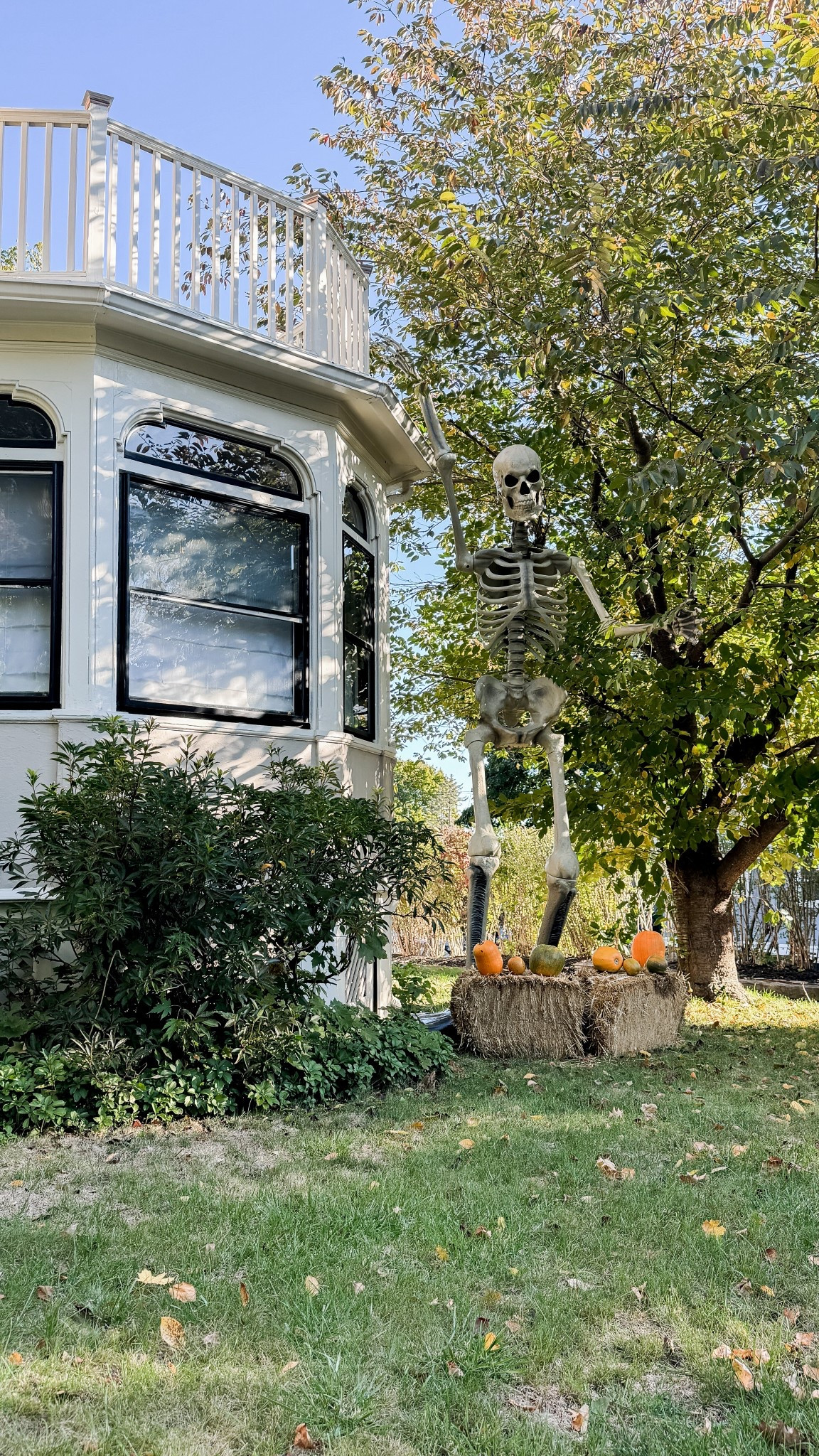 🚨💀12 Foot Skellies Are Back!💀🚨

Halloween is right around the corner - grab yours before they’re gone! 🎃👻

#LTKHome #LTKSeasonal