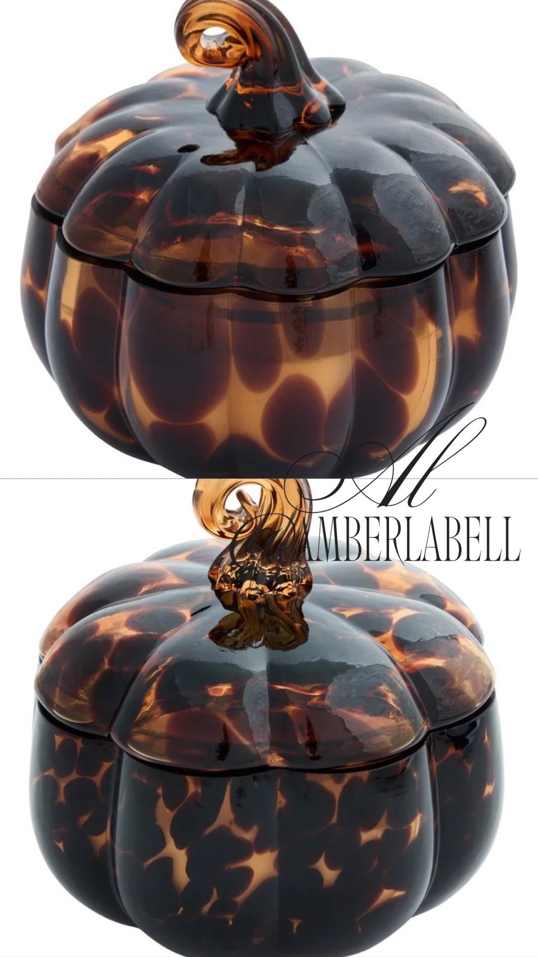 Best selling Walmart tortoise pumpkin 2 wick scented candles for fall! 18oz and 8oz Farm Apple Pumpkin + Pumpkin Snickerdoodle Swirl scents!

#LTKU #LTKHome #LTKSeasonal