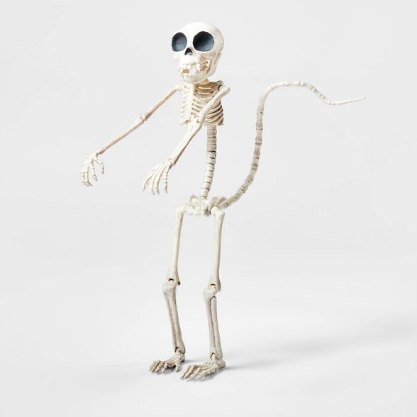 7.5&#34; Monkey Skeleton Halloween Decorative Prop - Hyde &#38; EEK! Boutique&#8482; | Target