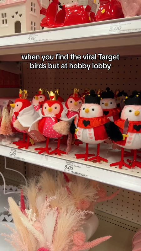 Linking the Target birds since Hobby Lobby doesn’t have an online site! 

#target #valentinesday #homedecor #roomdecor #valentine

#LTKhome #LTKfamily #LTKSeasonal