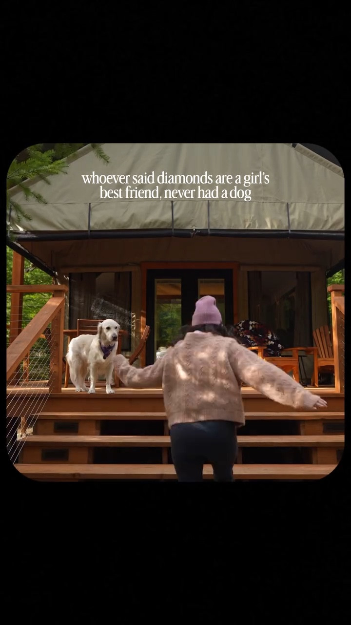 Winter glamping fit
• @shopdoen cardigan consigned from @circleround.co • @prana pants • @cotopaxi beanie • @keen jasper’s w/bungies


A Girl and Her Dog | Dog Mom | Adventure with Dogs

#LTKActive #LTKgrwm #LTKdayinmylife