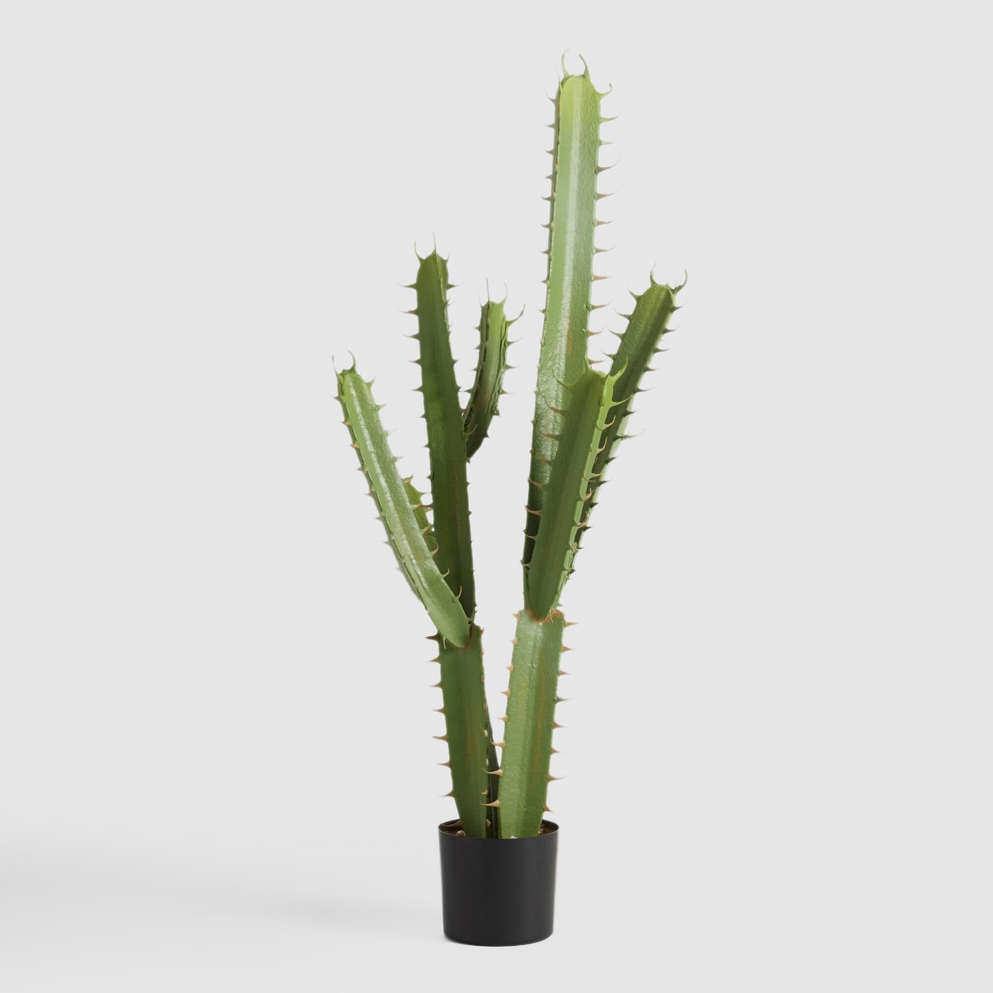 Faux Cactus Plant: Green by World Market | World Market