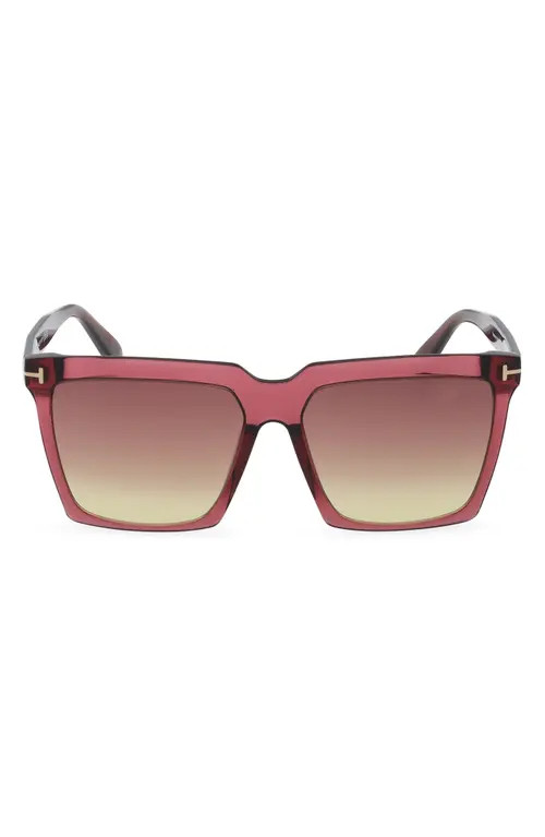 TOM FORD Sabrina 58mm Gradient Square Sunglasses in Bordeaux /T Logo /Sunset at Nordstrom | Nordstrom
