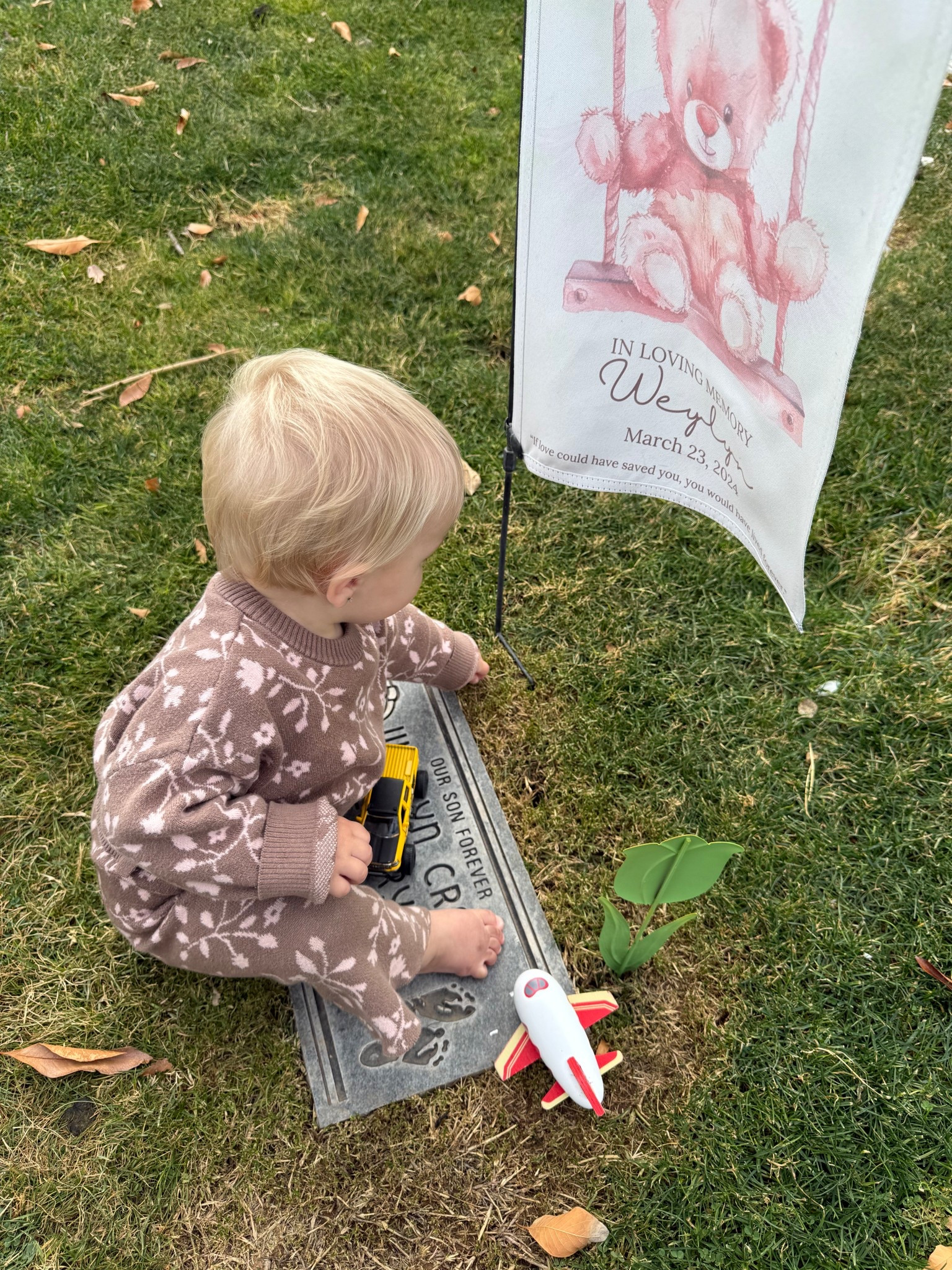 Cemetery flags for baby loss. 