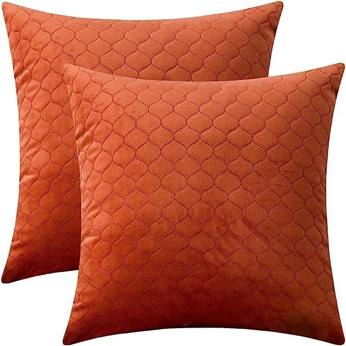Rythome Set of 2 Decorative Pattern Throw Pillow Cases, Comfortable Quilted Velvet Cushion Covers... | Amazon (US)