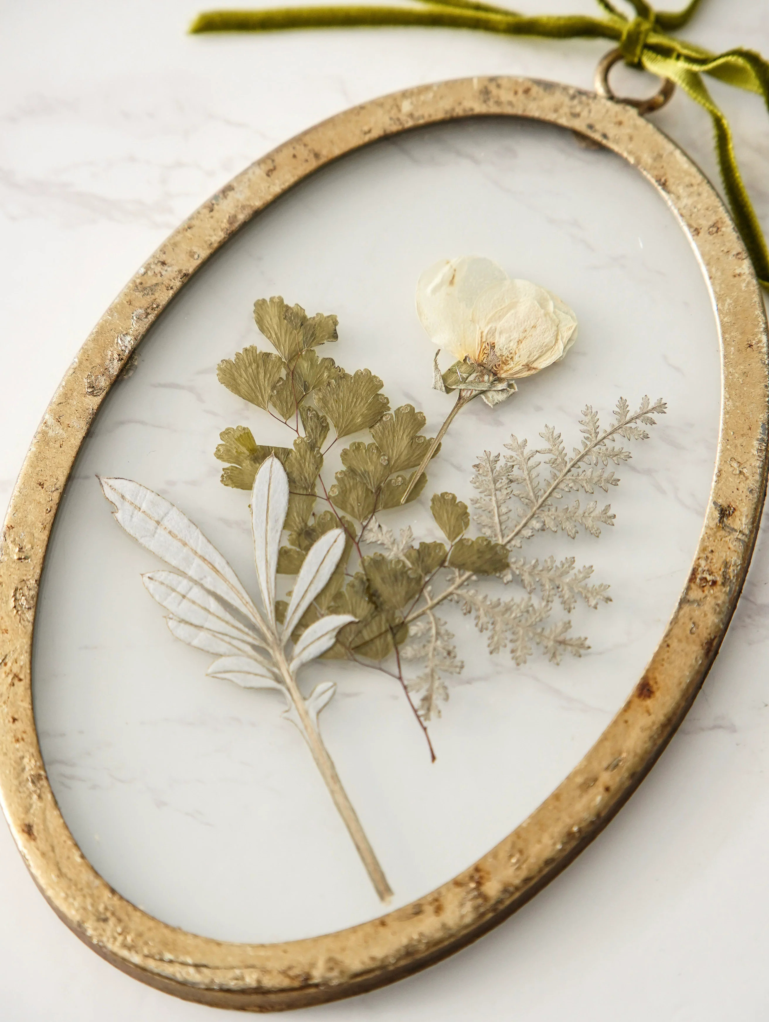 Pressed Botanical Glass Frame Set | MJHome
