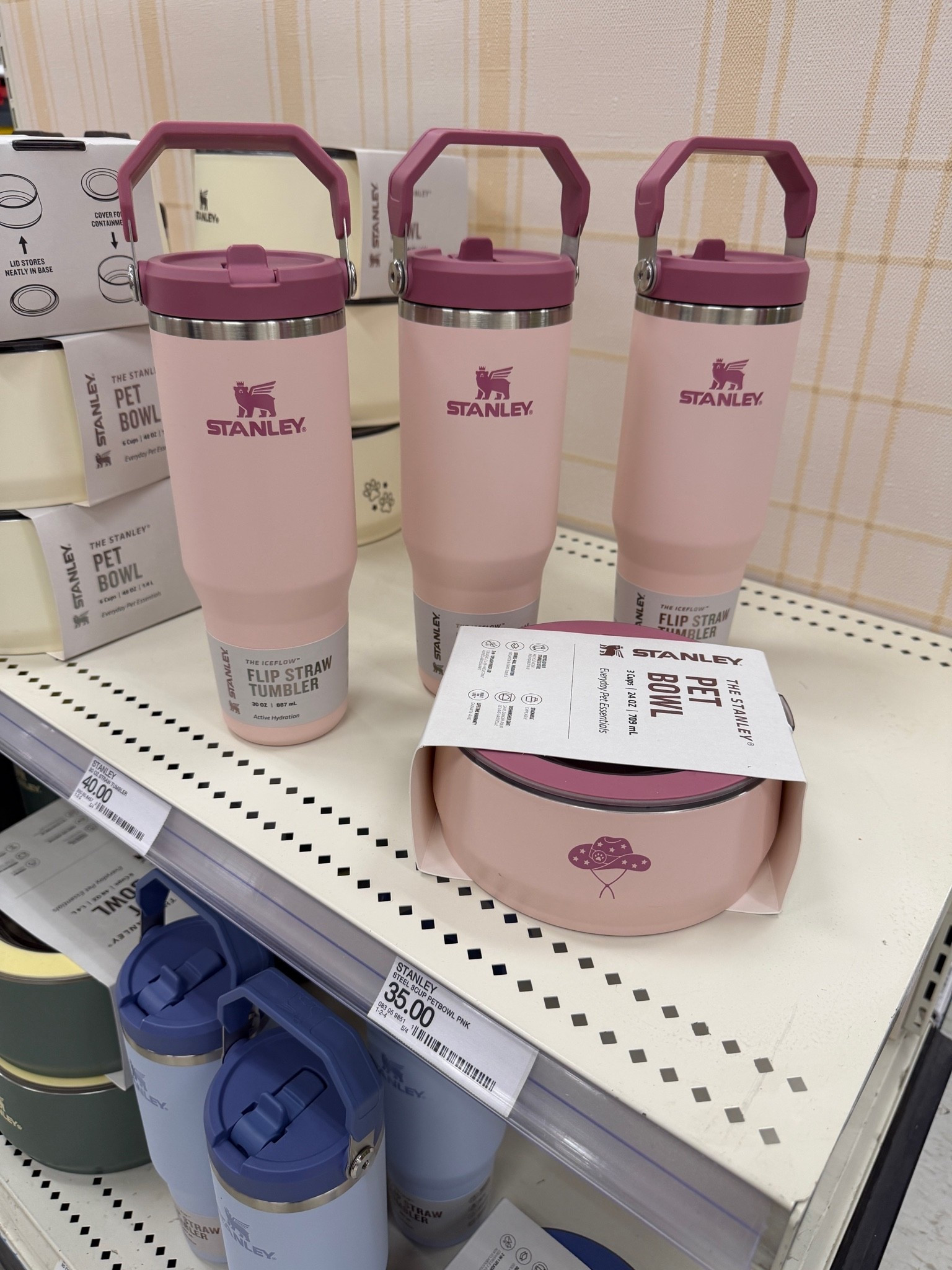 Matching  Stanley water bottle and pet dish for all the dog moms!
