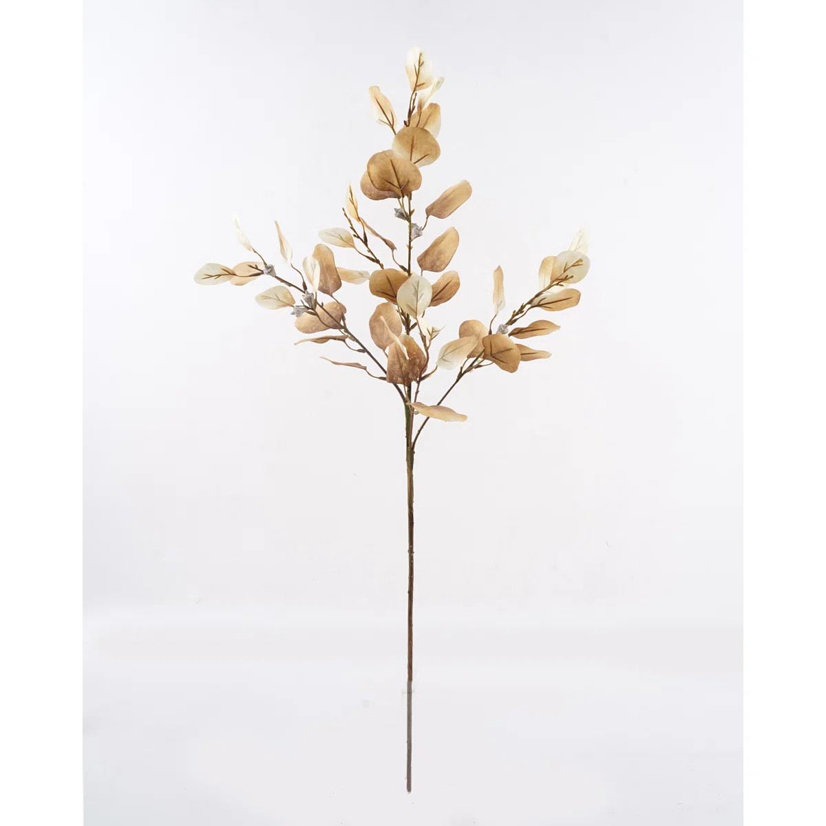 Primrue | Wayfair North America
