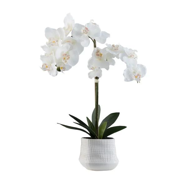 Orchid Floral Centerpiece in Pot | Wayfair North America