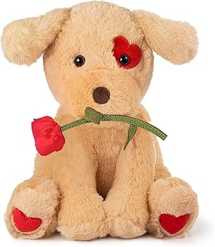 Brand: GSUIVER | Amazon (US)