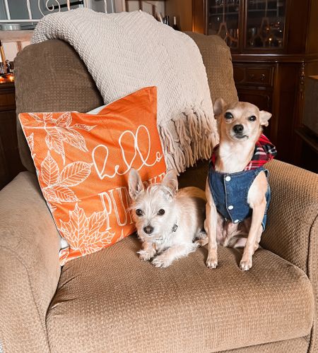 Fall pillow covers - fall home decor - fall decor - chenille throw discounted and has a 5% clickable coupon - dog plaid jacket - dog clothes - Amazon Home - Amazon pets - Amazon finds - Amazon deals - Amazon coupons 

#LTKHalloween #LTKSeasonal #LTKhome