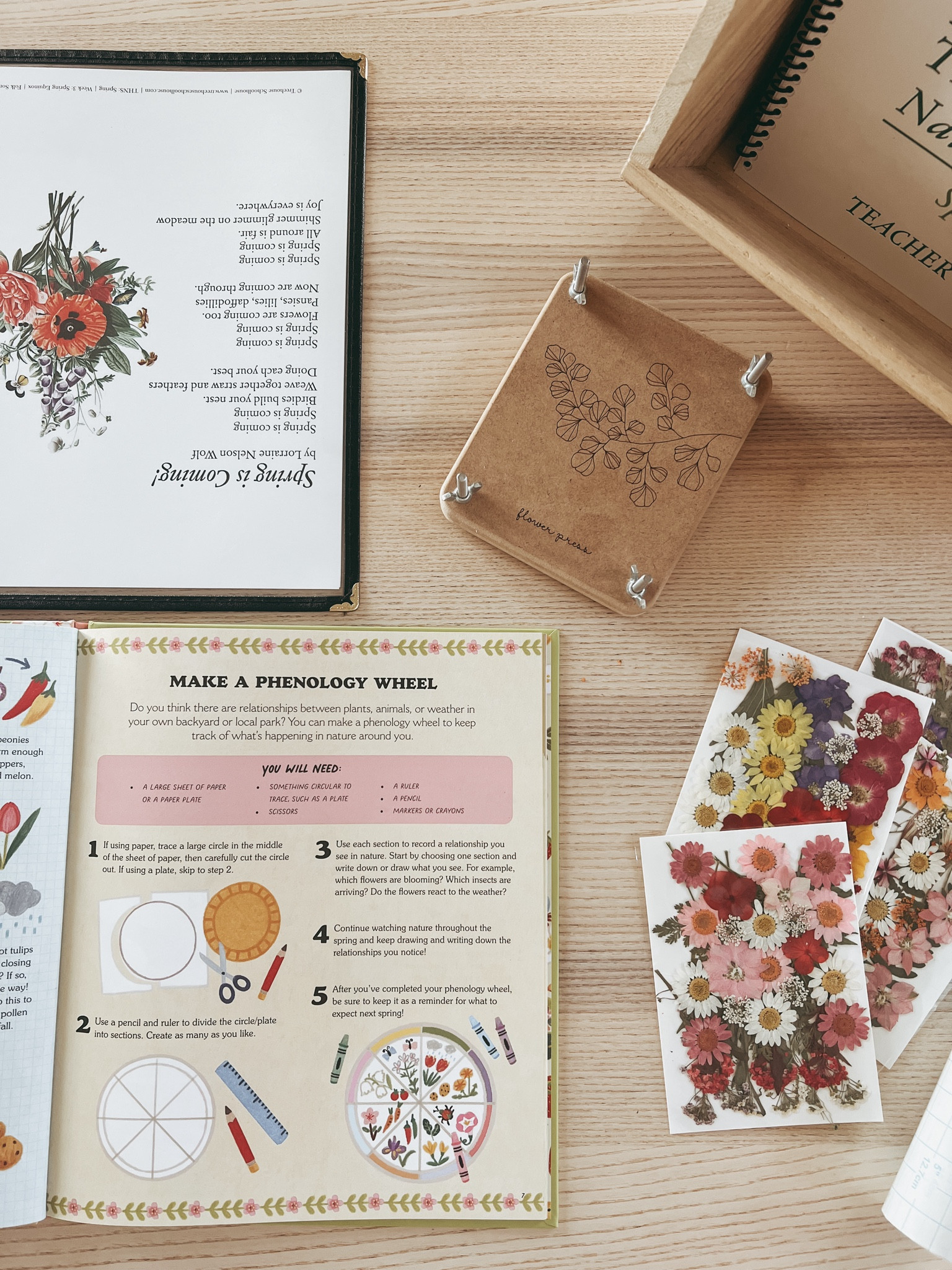 Treehouse Nature Study Spring 

#LTKfamily #LTKkids