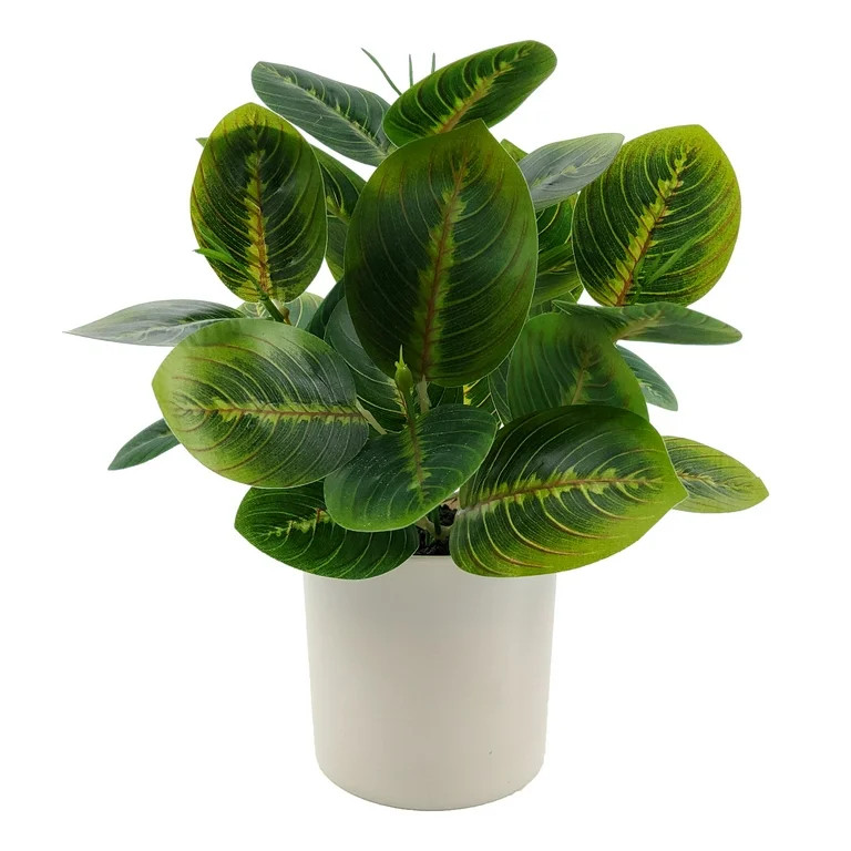 Mainstays Indoor 10 inch Artificial Polyester Prayer Plant In Plastics Pot,Green Color, 1 Piece. | Walmart (US)