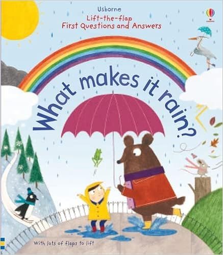 Lift The Flap First Q&A What Makes Rain    Board book – January 1, 2015 | Amazon (US)