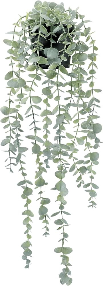 COCOBOO 1pcs Artificial Hanging Plants, Fake Potted Eucalyptus Faux Hanging Plant for Wall Room H... | Amazon (US)