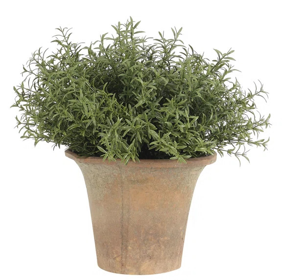 Rosemary Floral Arrangement in Pot | Perigold