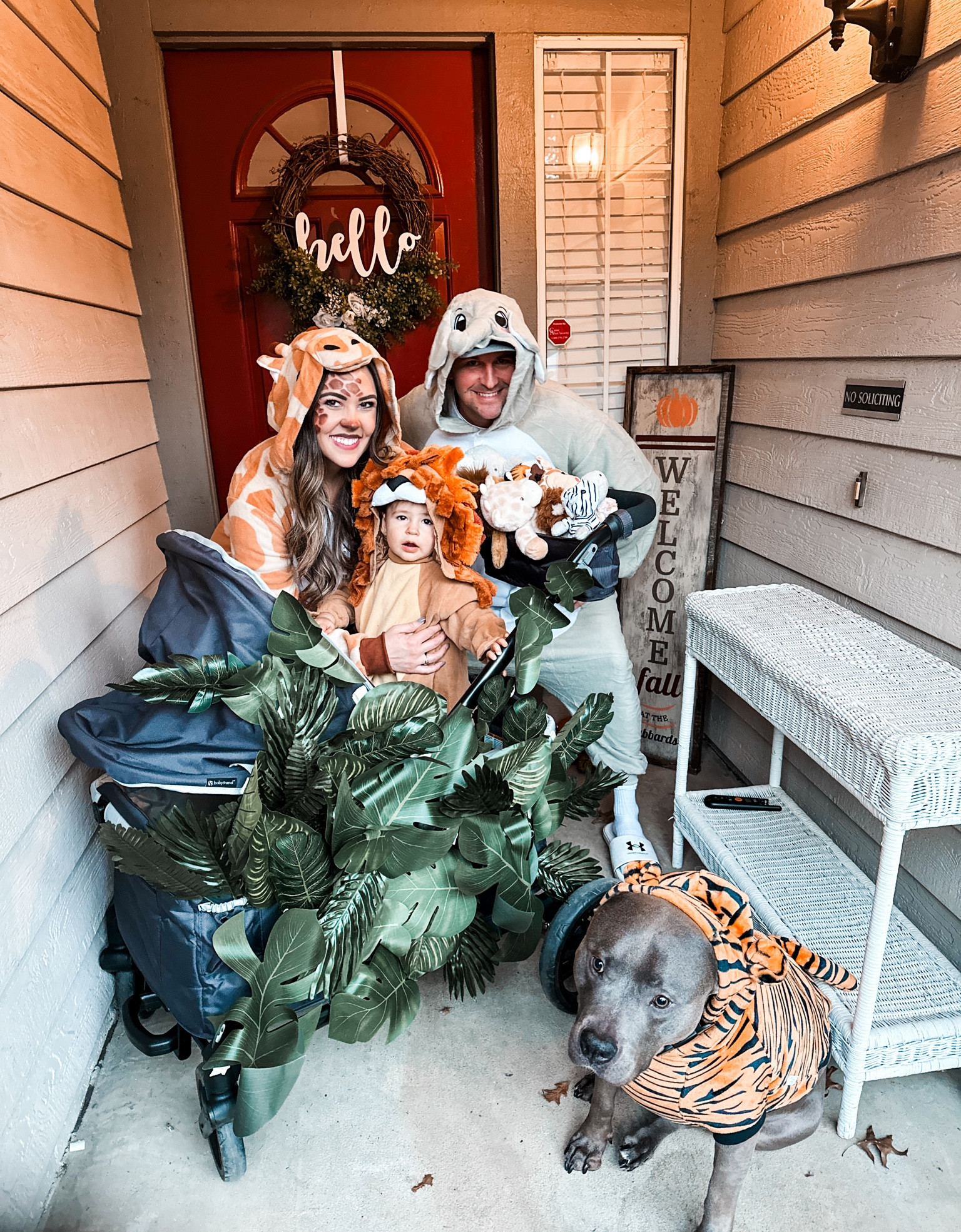 Welcome to our jungle! 
Safari onesies and adults. 
Jungle costumes for the family 
Baby lion costume 
Tiger costume for dog 
Halloween costumes 


#LTKHalloween #LTKfindsunder50 #LTKfamily