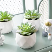 1pc Artificial Potted Succulent, Small Faux Plant With Pot, For Home Decor | SHEIN