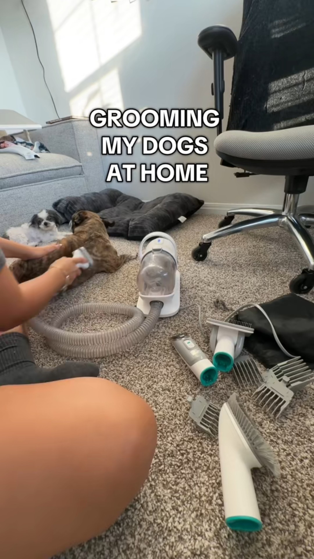 I’ve been using this grooming kit for over 5 years. Never had any issues 

#LTKPets #LTKU #LTKHome