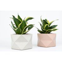 Geometric Concrete Planter | Oli 3 Inch Pot Indoor Small Plant Pots Modern Mini Succulents, Cactus,  | Etsy (US)