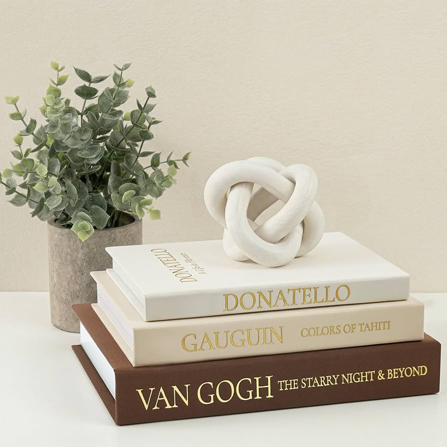 Vintage Faux Book Box Set of 3 Brown Linen Decorative Books for Shelves, Fake Books for Decoratio... | Amazon (US)