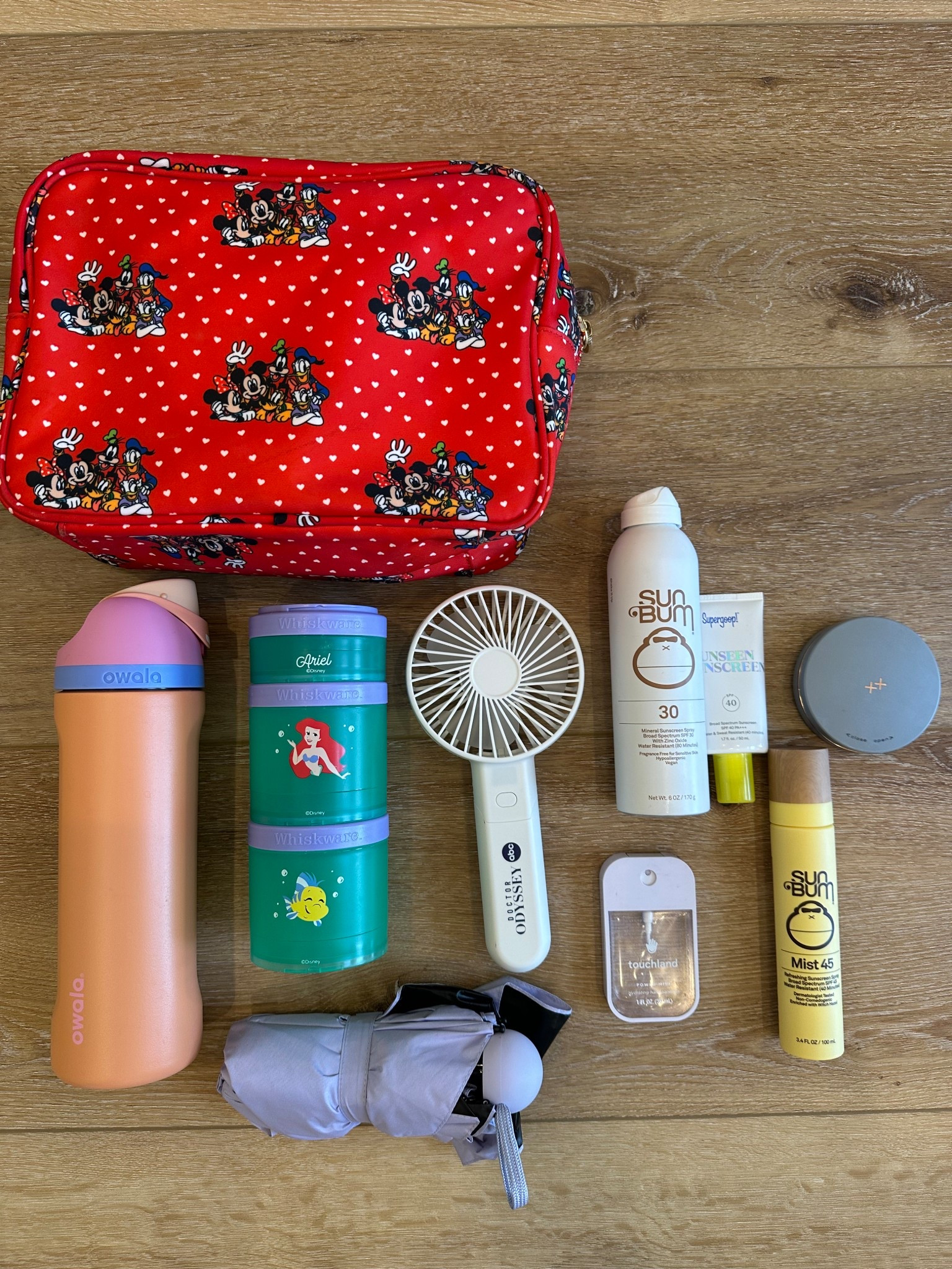 Disney Park Bag Essentials

#disneyessentials 

#LTKKids #LTKTravel