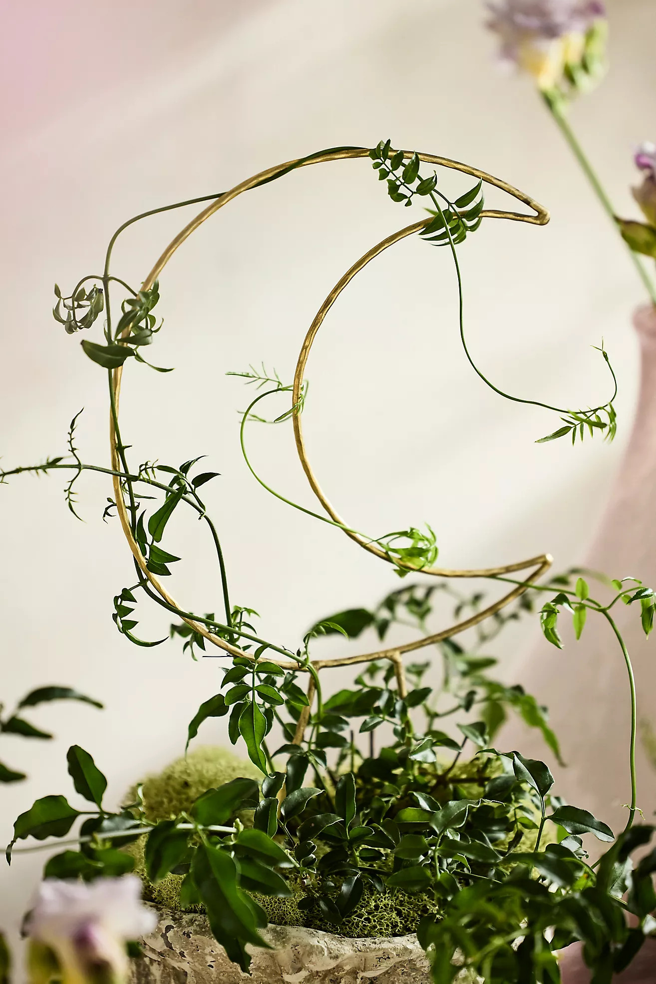 Brass Moon Trellis | Terrain