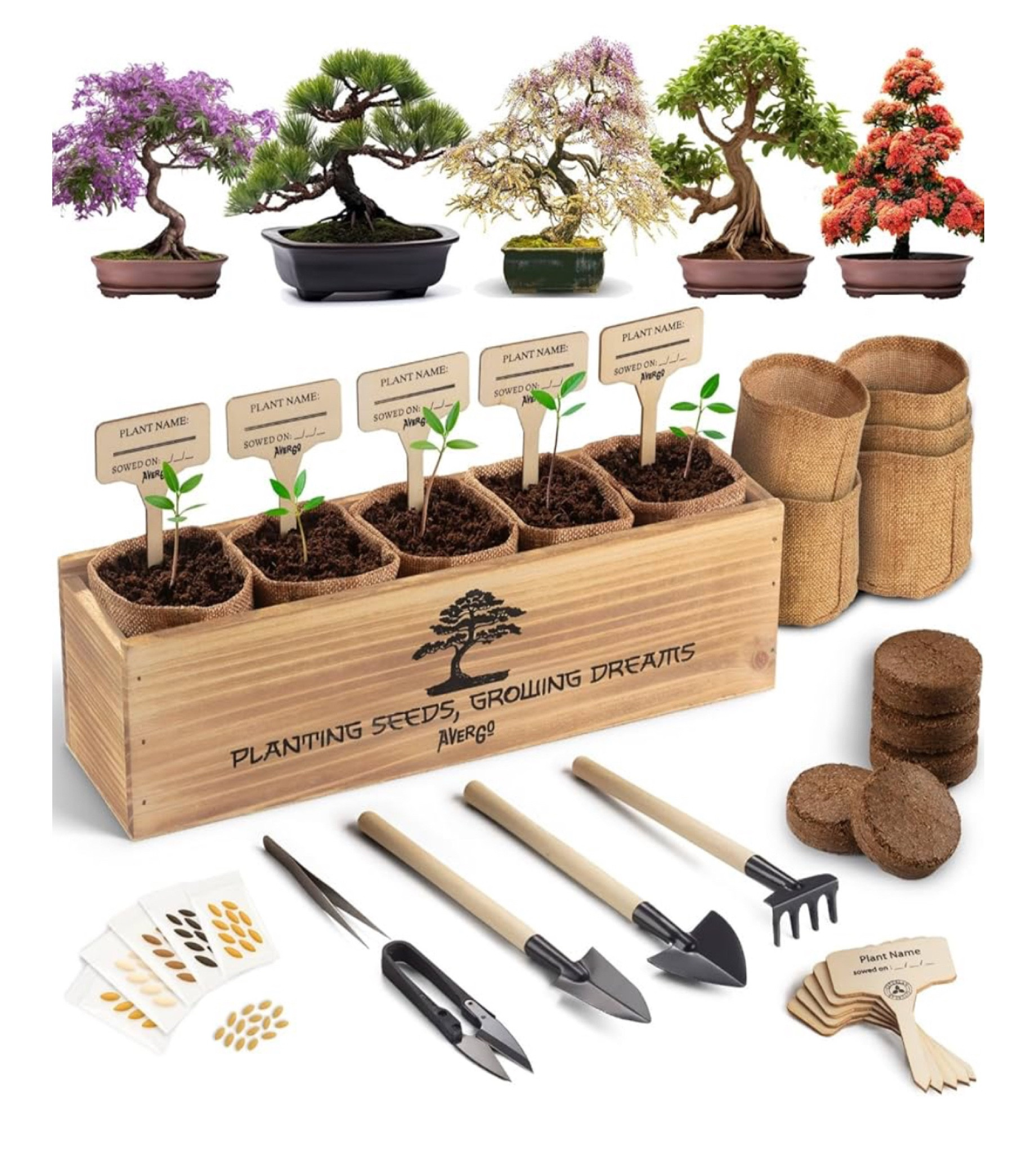 DIY Bonsai Tree 

#LTKFindsUnder50 #LTKHome