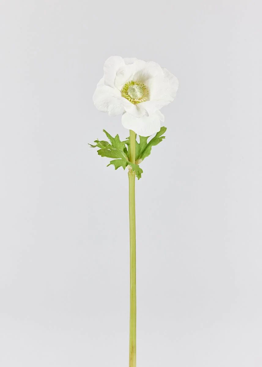 White Anemone Stem | Shop Real Touch Flowers at Afloral.com | Afloral
