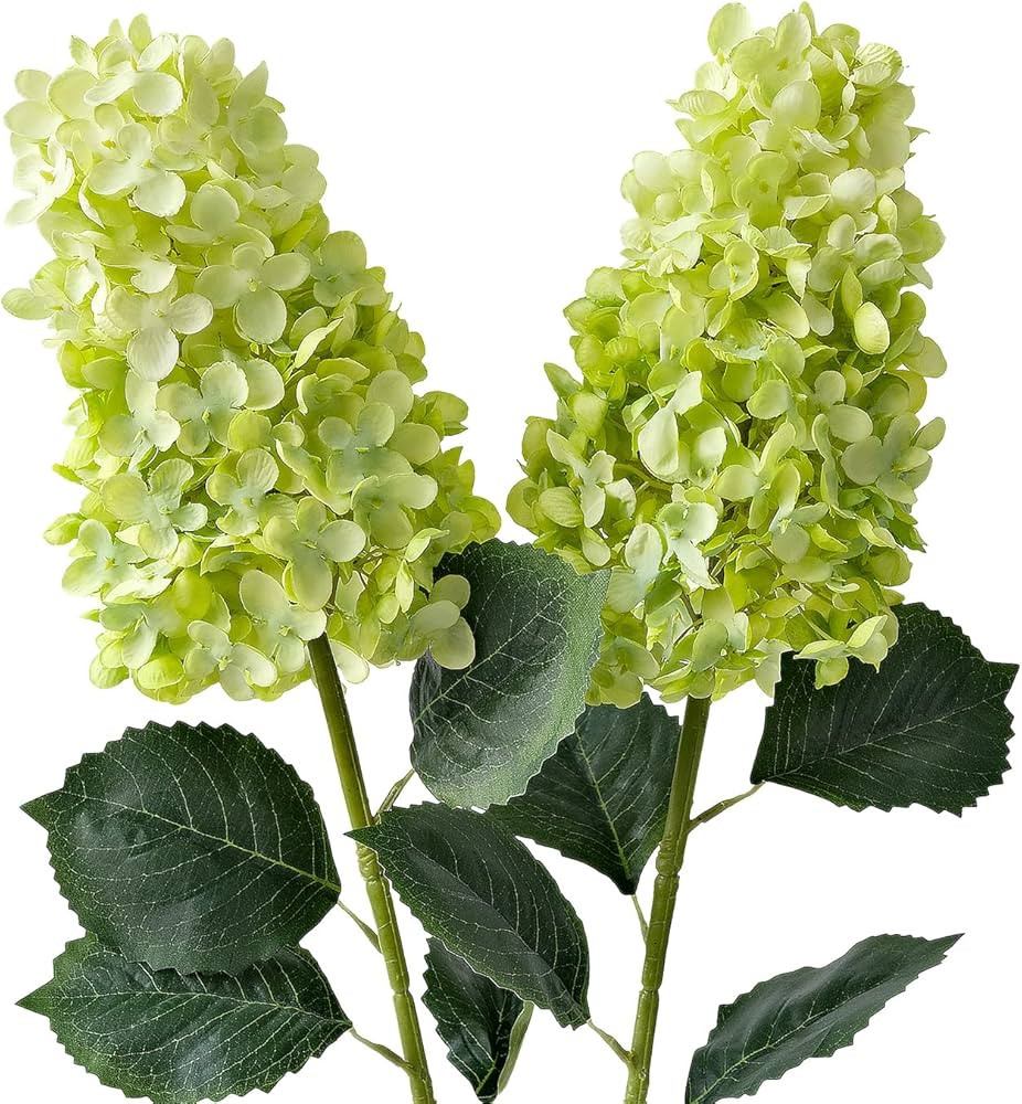 Green Hydrangea Artificial Silk Flowers,2Pcs 31.5" Large Lifelike Panicled Faux Hydrangea Flowers... | Amazon (US)