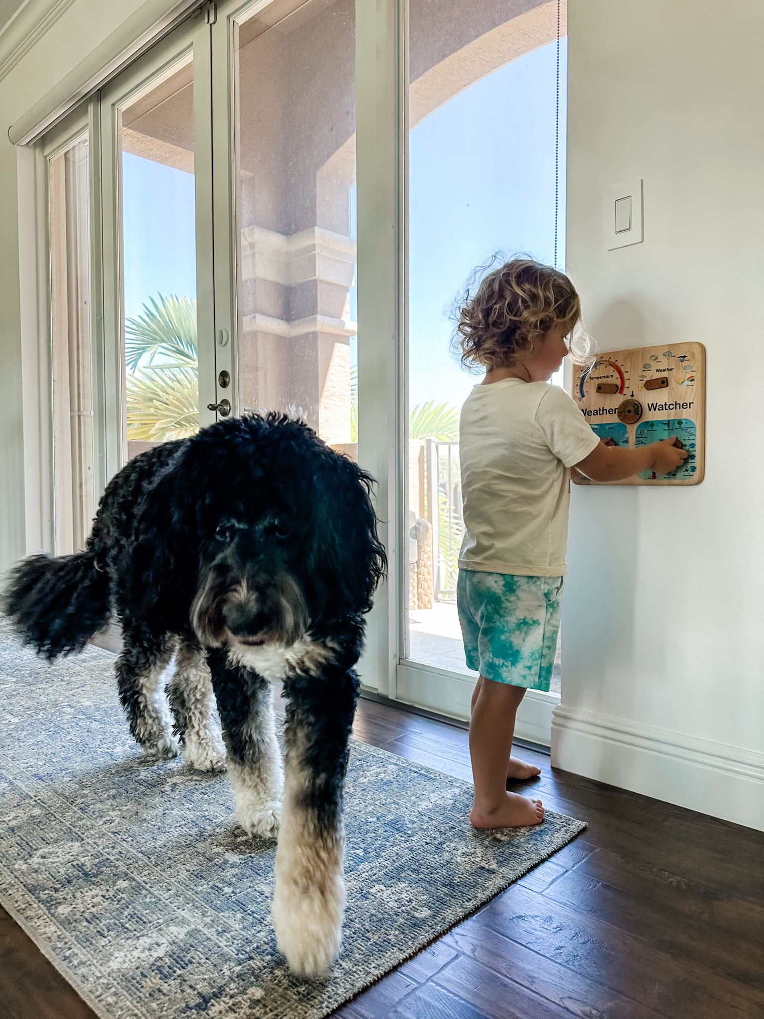 Neutral area rug • neutral runner • kids weather station • homeschool • homeschool preschool • STEAM toys • educational toys • toddler toys and activity • 

#LTKkids #LTKfamily #LTKhome