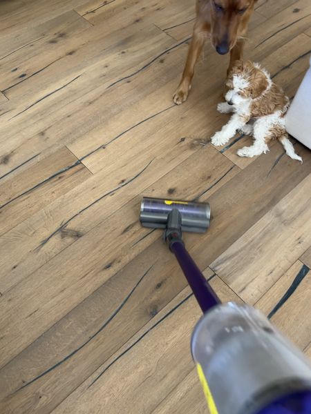 When it’s winter and your dogs track so much grass. Dyson vacuum for the win! 

#LTKhome #LTKGiftGuide #LTKSeasonal