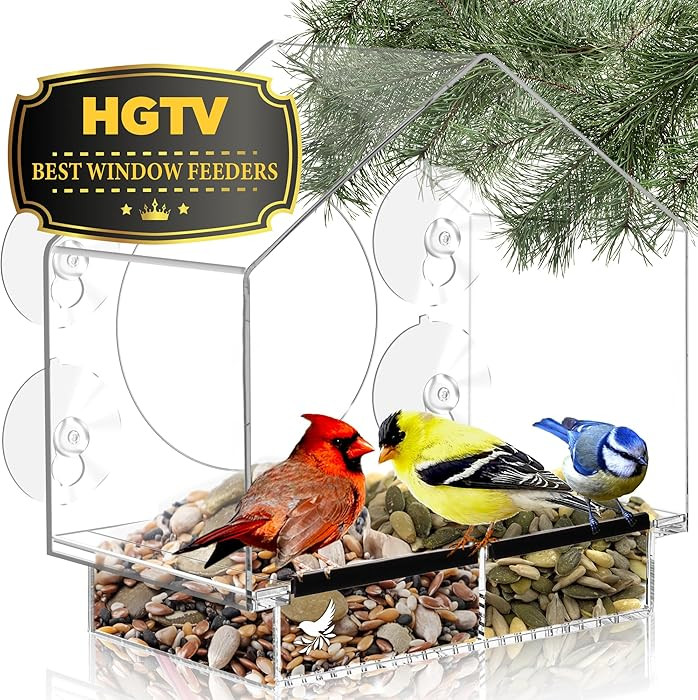 Clear Bird Feeders for Window Viewing Inside - Window Bird House Feeder with Suction Cups - Balco... | Amazon (US)
