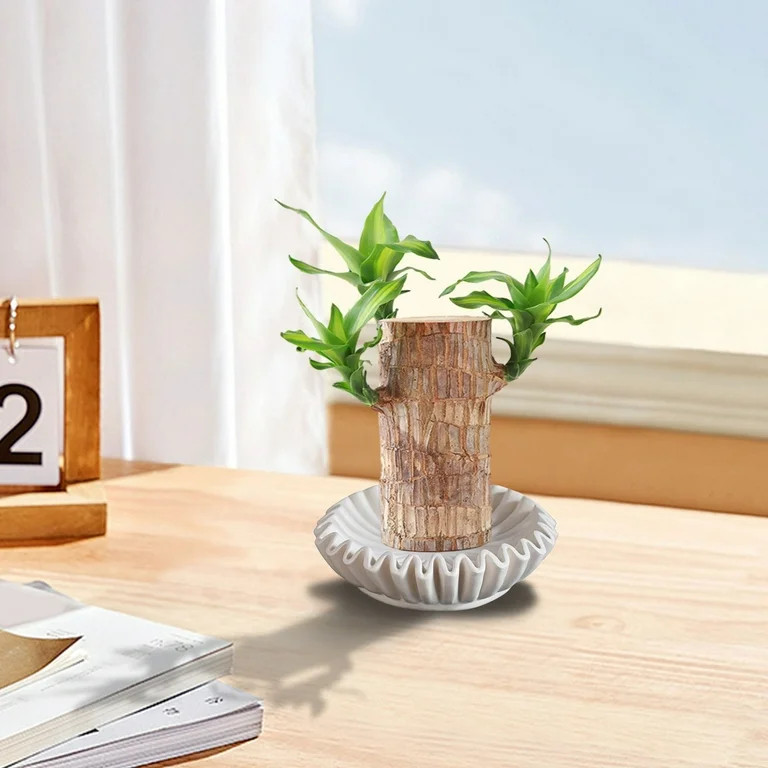 Decorative Bowl, Coffee Table Decor, Ruffled Resin Centerpiece Bowl for Living Room and Entry Tab... | Walmart (US)