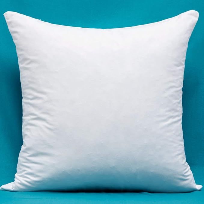 Includes Only One Cotton Fabric Pillow Insert, Filled with Down and Feather Decorative Throw Pill... | Amazon (US)
