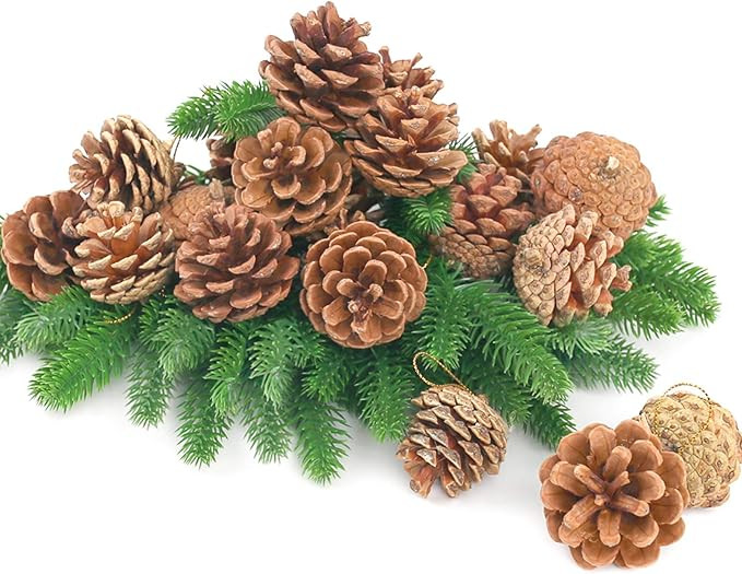 JOHOUSE Pine Cones and Pine Branches, 40PCS Artificial Pine Needles Branches Natural PineCones, H... | Amazon (US)