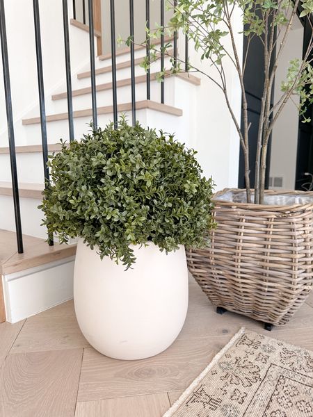 Shop the most realistic boxwoods for Spring! Amazing price on this set of 2!

Spring front porch /spring plants /front porch refresh /amazon home finds 

#LTKhome #LTKsalealert #LTKSeasonal